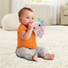 
      Rainbow Colours Axolotl Teether Pink
     - Item 2 of 3